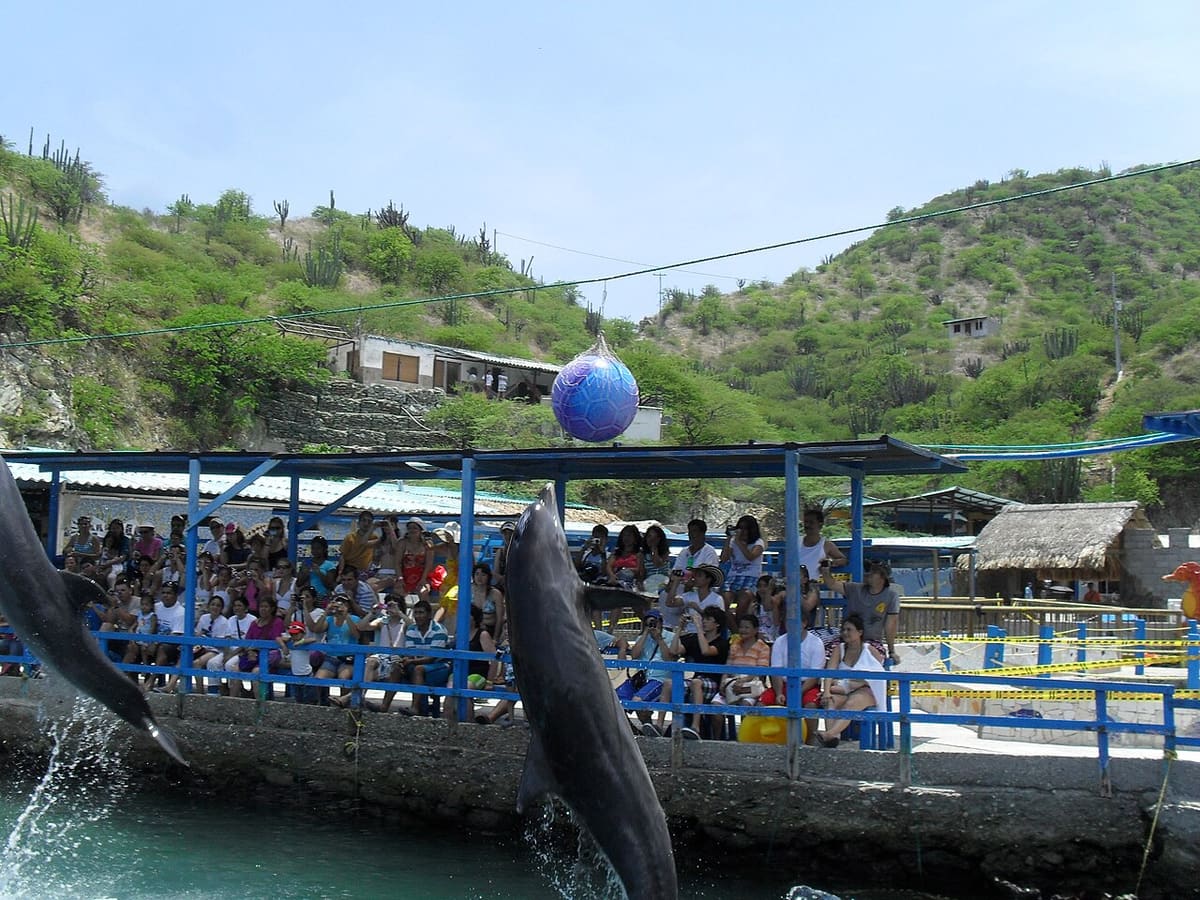 Publicación de Acuario Mundo Marino